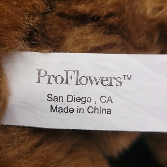 ProFlowers Plush Teddy Bear with gorgeous Yellow Sweater Holding a Sunflower - Picture 10 of 13